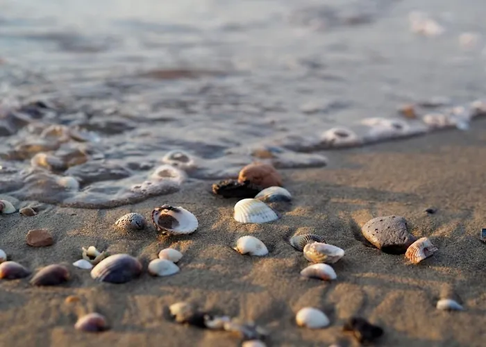 Ideal Getaway For Groups In * Bibione